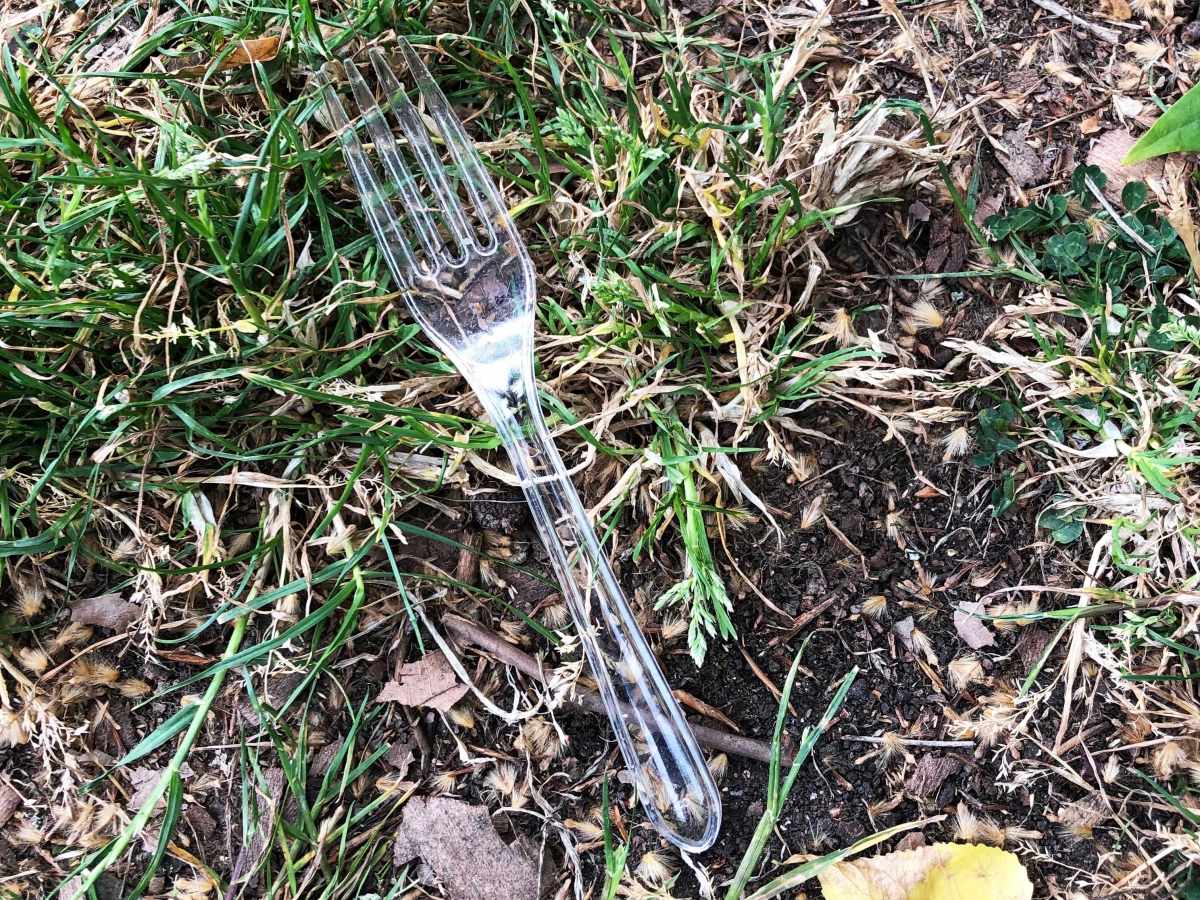 Clear Plastic Fork